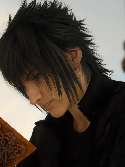 Noctis Lucis Caelum