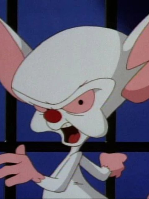 The Brain