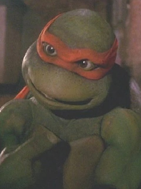 Michelangelo