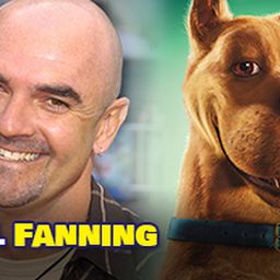 Neil Fanning
